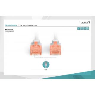 Patch cord nieekranowany U/UTP Kat.6 AWG 26/7 miedź LSOH 0,25m Szary