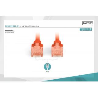 Patch cord nieekranowany U/UTP Kat.6 AWG 26/7 miedź LSOH...