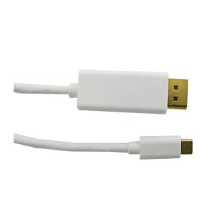 Kabel DisplayPort Alternate mode | USB 3.1 typC męski /DisplayPort męski | 4Kx2K | 2m