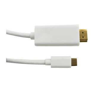 Kabel DisplayPort Alternate mode | USB 3.1 typC męski /...