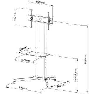 Stojak mobilny LCD/LED 30-65cali,60kg, regulowany