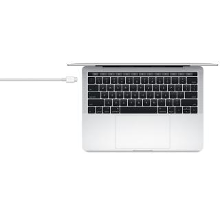 Thunderbolt 3 (USB-C) kabel (0.8m)