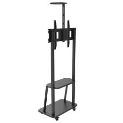 Stojak mobilny Techly 32"-70", 60kg, z półką