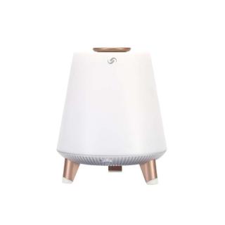 Przenośny głośnik Bluetooth BT25LAMP