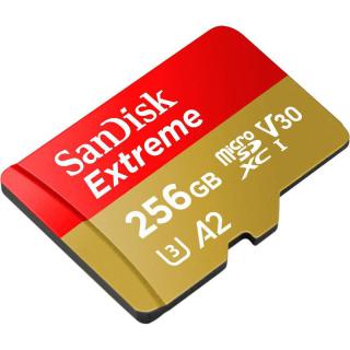 Karta pamięci Extreme microSDXC 256GB 160/90 MB/s A2 V30 U3