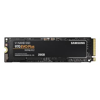 Dysk SSD 970 EVO PLUS MZ-V7S250BW 250GB