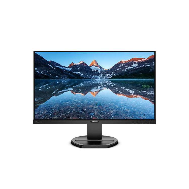 Monitor 25 252B9 IPS 16:10 DVI HDMI DP Pivot