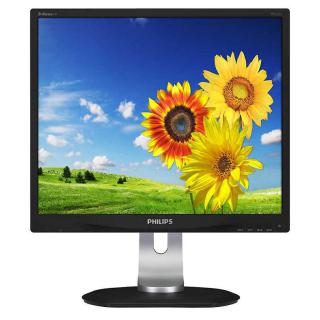 Monitor 19P4QYEB 19 IPS DVI DP Pivot Głośniki