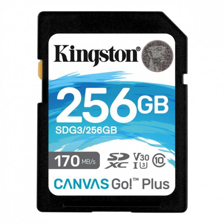 Karta pamięci SD 256GB Canvas Go Plus 170/90MB/s CL10 U3 V30