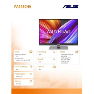 Monitor 24 cale PA248CNV