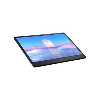 Monitor PRO MP161 15,6 cala FHD/60Hz/2xUSB C