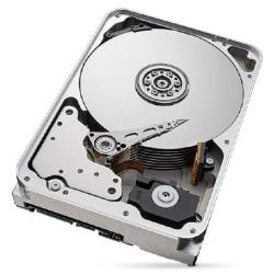 Dysk HDD Seagate IronWolf Pro (14 TB 256MB 3.5" SATA)