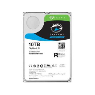 Dysk SkyHawkAI 10TB 3,5 256MB ST10000VE001