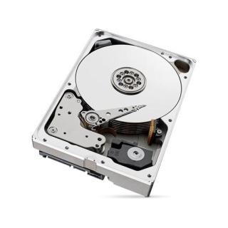 Dysk SkyHawkAI 10TB 3,5 256MB ST10000VE001