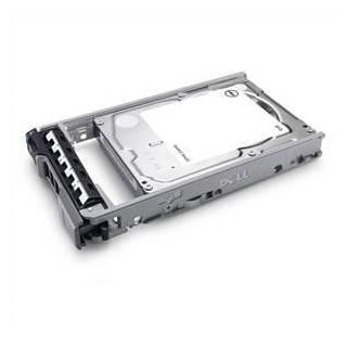 Dell 960GB SSD SAS RI 12Gbps 512e 2.5in 3.5in