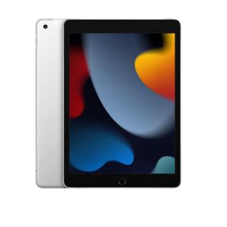 iPad 10.2 cala Wi-Fi 256GB - Srebrny