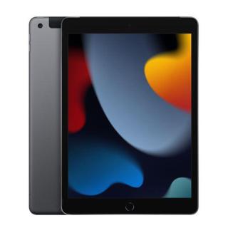 iPad 10.2 cala Wi-Fi + Cellular 256GB - Gwiezdna szarość