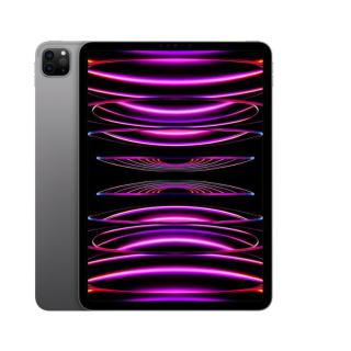 iPad Pro 11 cali Wi-Fi + Cellular 128 GB Gwiezdna szarość