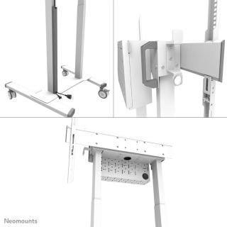 Wózek mobilny do ekranów z regulacją wysokości Neomounts FL55-875WH1 55"-100" 110kg biały