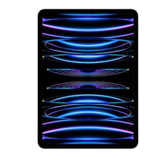 iPad Pro 11 cali Wi-Fi + Cellular 2 TB Srebrny