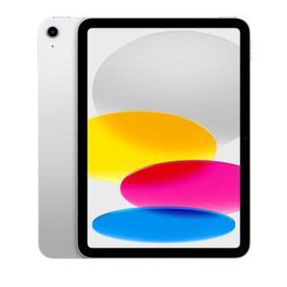 iPad 10.9 cala Wi-Fi + Cellular 256 GB Srebrny