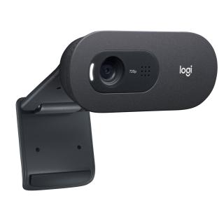 Kamera LOGITECH C505E HD Webcam Black