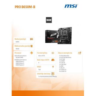 Płyta główna PRO B650M-B AM5 2DDR5 HDMI mATX