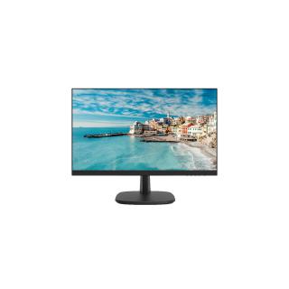 Monitor Hikvision DS-D5024FN/EU