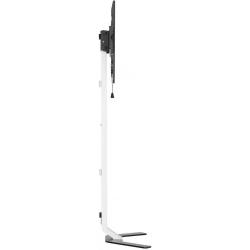 Stojak podłogowy Techly 32"-70" 40kg Slim