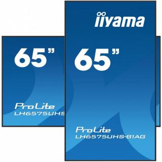 IIYAMA 65'LH6575UHS-B1AG