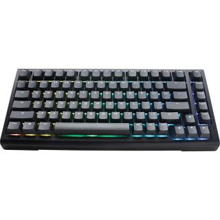 Klawiatura gamingowa Ducky Tinker 75, RGB, czarna - MX-Blue