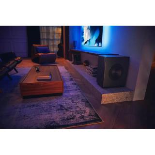 Subwoofer TAFW1/10 Atmos Fidelio