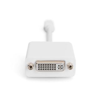 Kabel adapter Displayport 1080p 60Hz FHD Typ miniDP/DVI-I (24+5) M/Ż 0,15m Biały