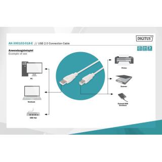 Kabel połączeniowy USB 2.0 HighSpeed Typ USB A/USB B M/M 1,8m Szary